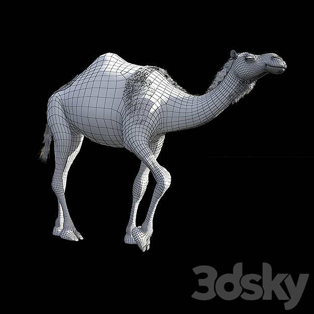 Camel 3DSMax File - thumbnail 2