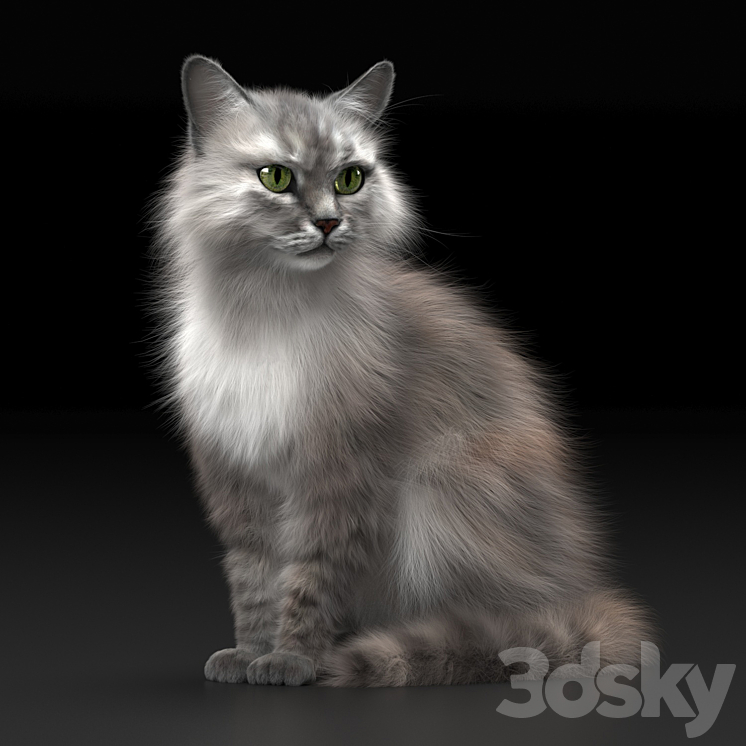 CAT 3 3DS Max - thumbnail 1