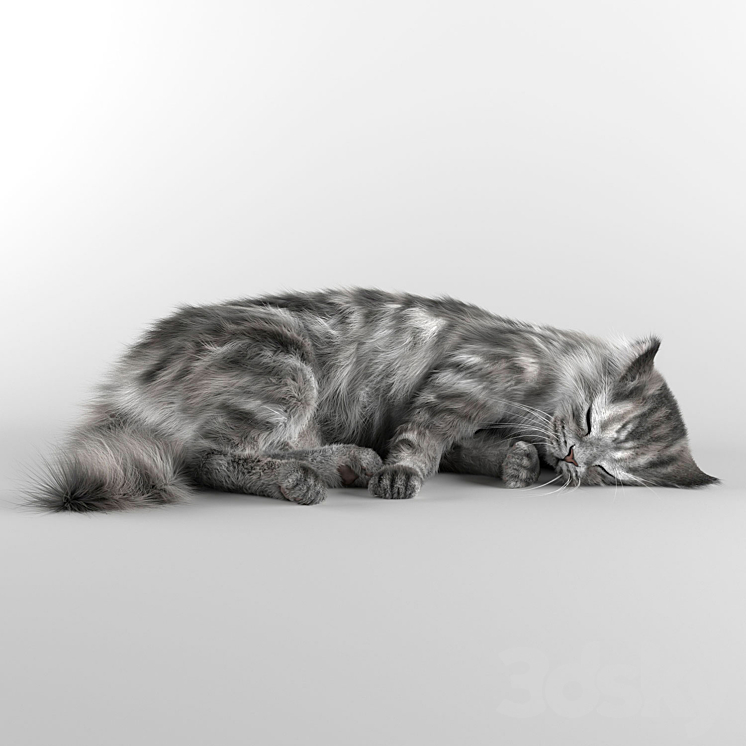 CAT 3DS Max - thumbnail 1