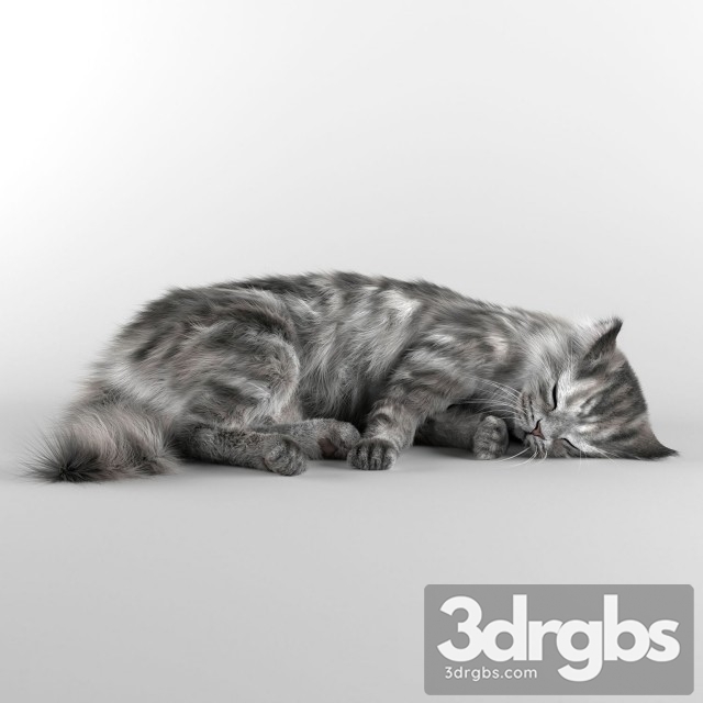 Cat 3dsmax Download - thumbnail 1