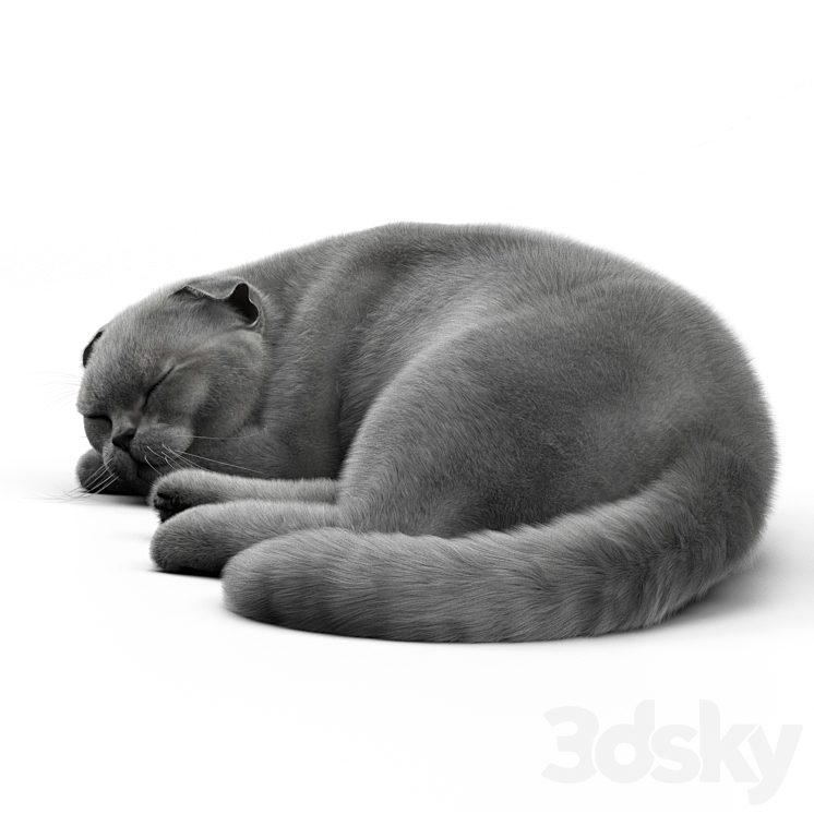 CAT 6 Corona 3DS Max Model - thumbnail 1