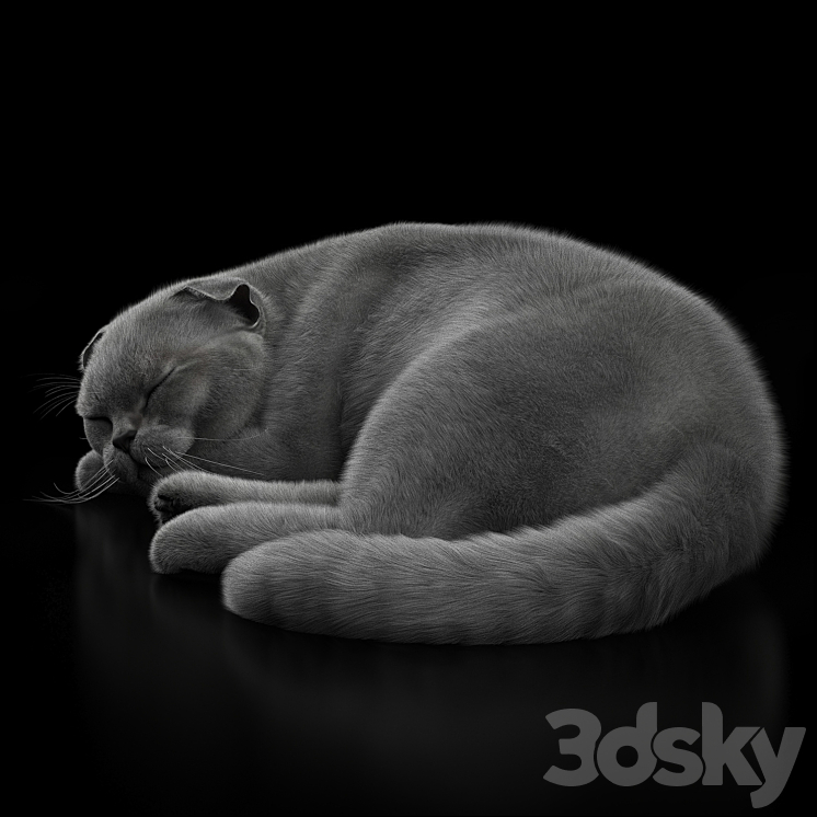 CAT 6 Corona 3DS Max Model - thumbnail 2