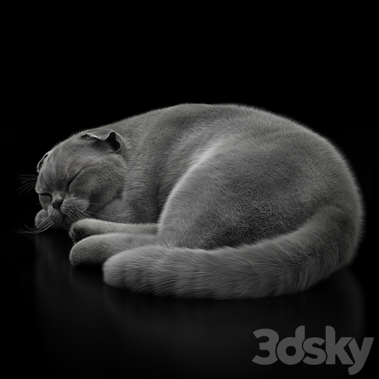 CAT 6 VRay 3DS Max - thumbnail 1