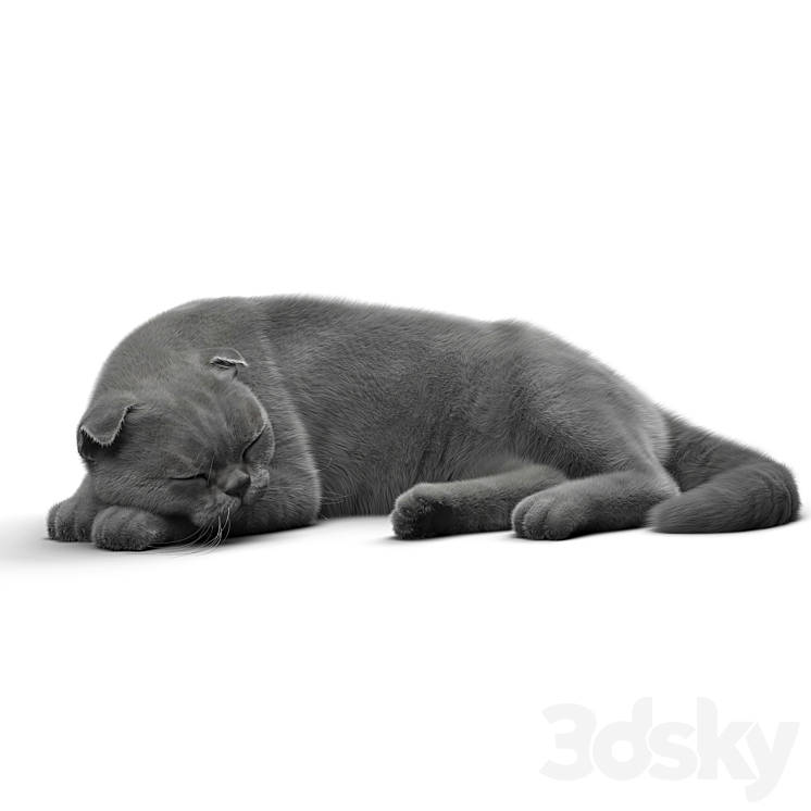 CAT 6 VRay 3DS Max - thumbnail 2