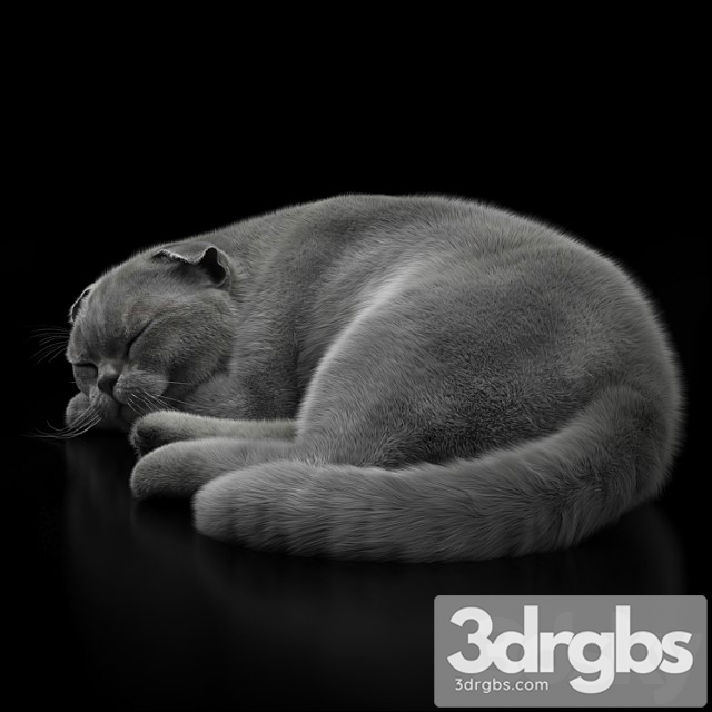 Cat 6 Vray 3dsmax Download - thumbnail 1