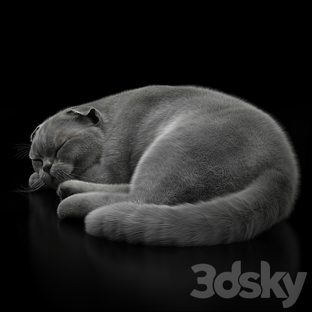 CAT 6 VRay 3DSMax File - thumbnail 1