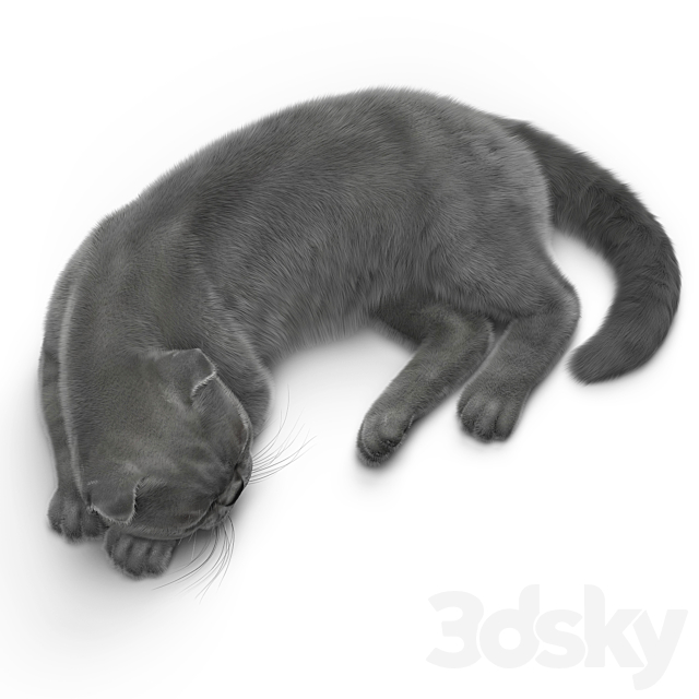 CAT 6 VRay 3DSMax File - thumbnail 3