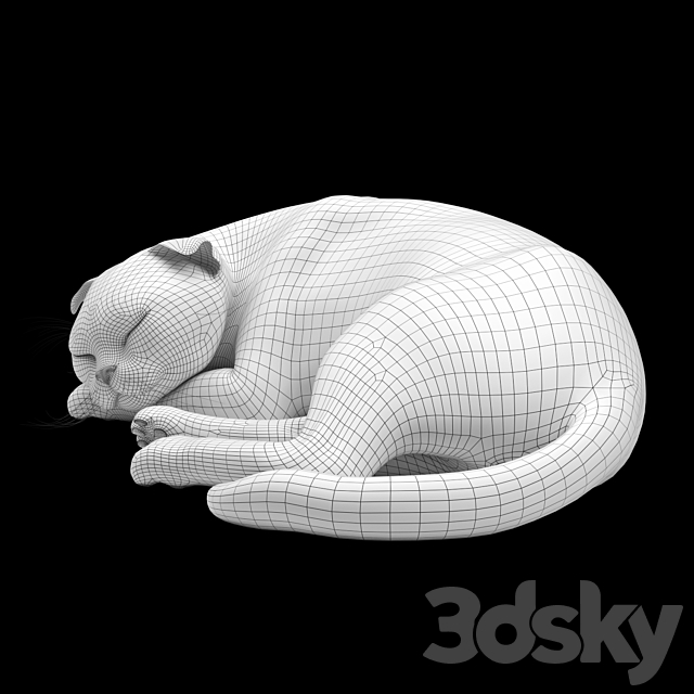 CAT 6 VRay 3DSMax File - thumbnail 5
