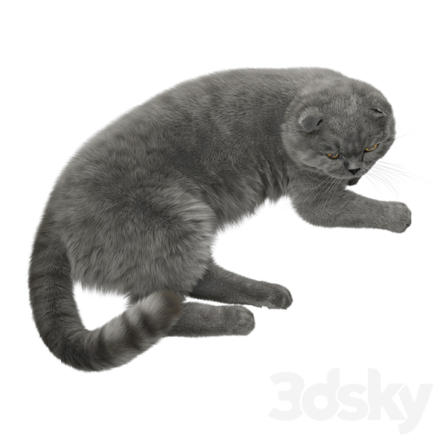 CAT 7 Corona 3DSMax File - thumbnail 3