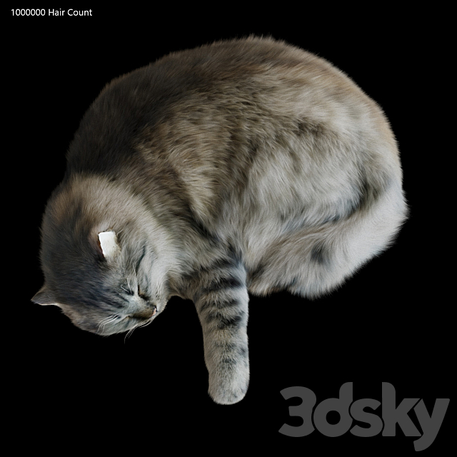 Cat Corona 3ds Max - thumbnail 2