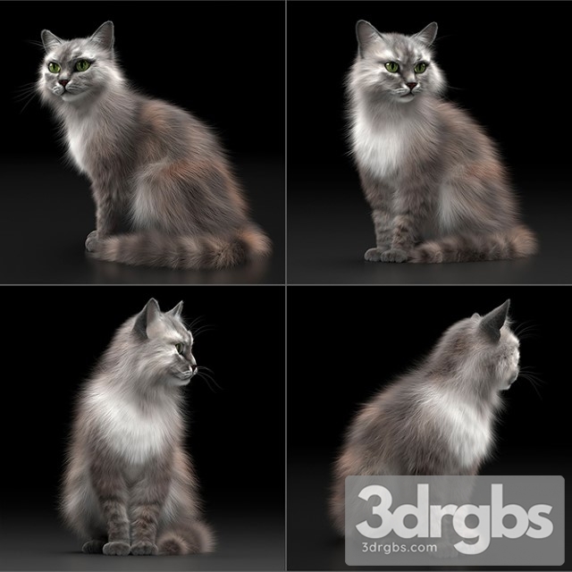 Cat Fur 3dsmax Download - thumbnail 1