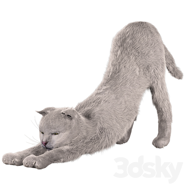 Cat Martin 3ds Max - thumbnail 1