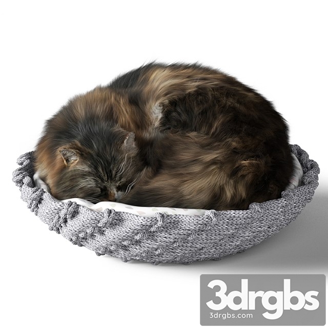 Cat With Pillow 3dsmax Download - thumbnail 1