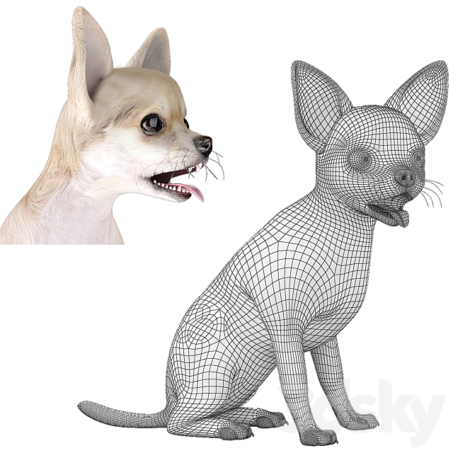 Chihuahua 3DS Max Model - thumbnail 3