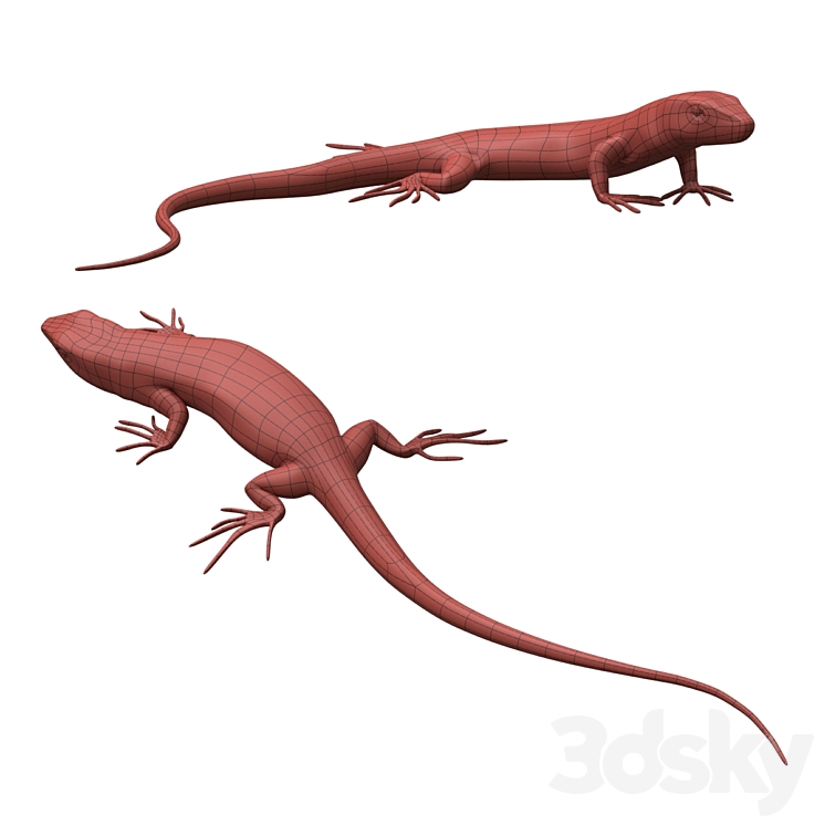 Common Wall Lizard – 5 poses 3DS Max - thumbnail 2