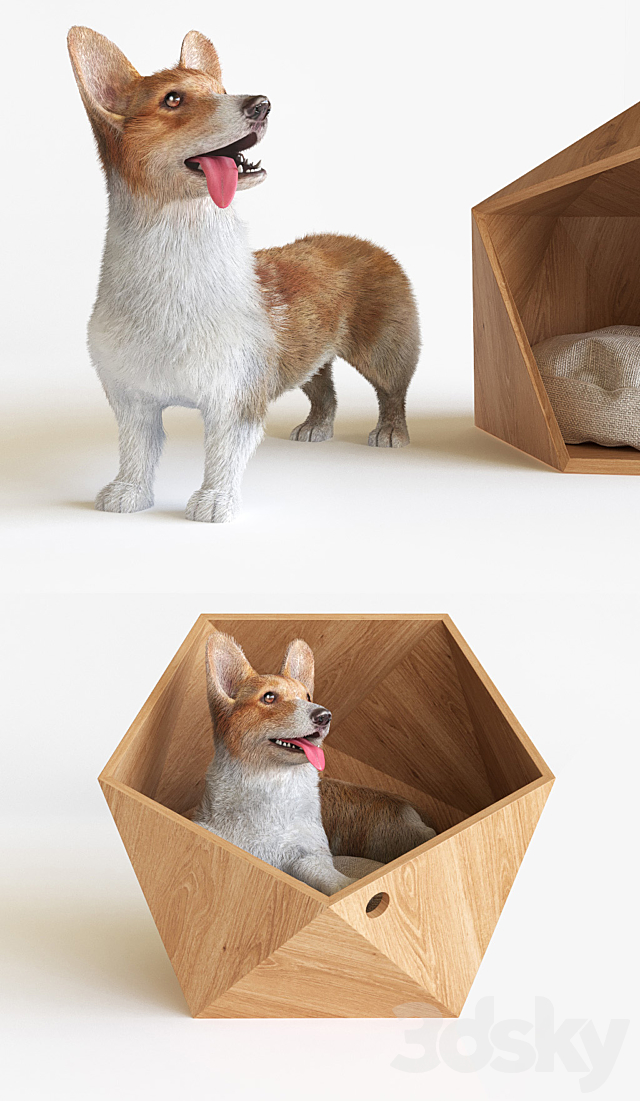 Corgi 3DSMax File - thumbnail 2