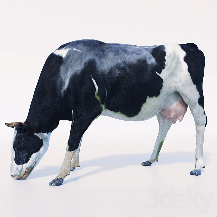 Cow 3DS Max - thumbnail 1