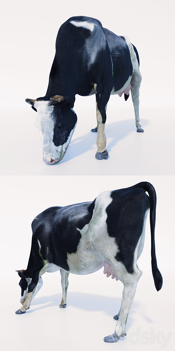 Cow 3DS Max - thumbnail 2