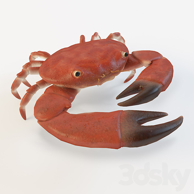 Crab 3DSMax File - thumbnail 1