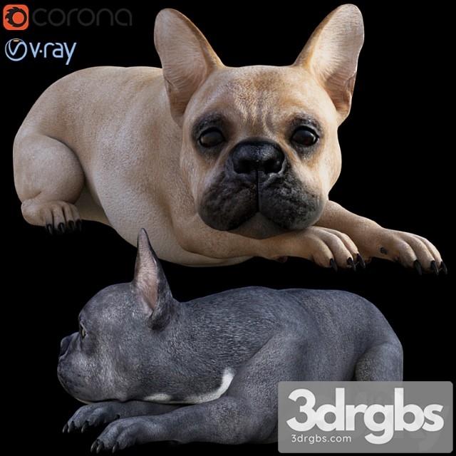 Creature Dog Bull 3dsmax Download - thumbnail 1