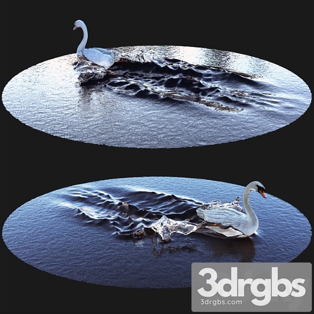 Creature Goose on water 3dsmax Download - thumbnail 1