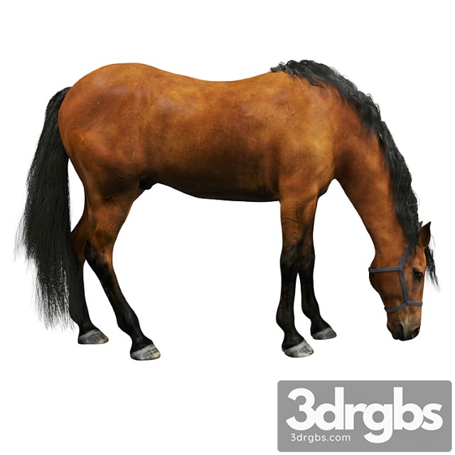 Creature Horse 3dsmax Download - thumbnail 1