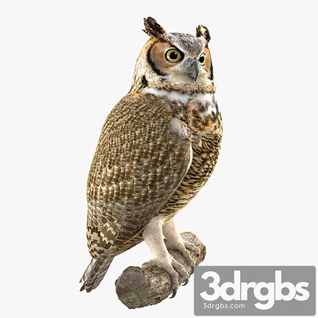 Creature Owl 3dsmax Download - thumbnail 1