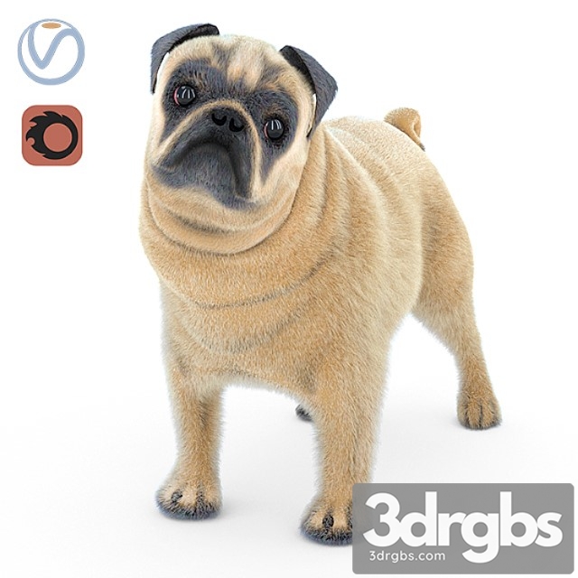 Creature Pug 2 3dsmax Download - thumbnail 1