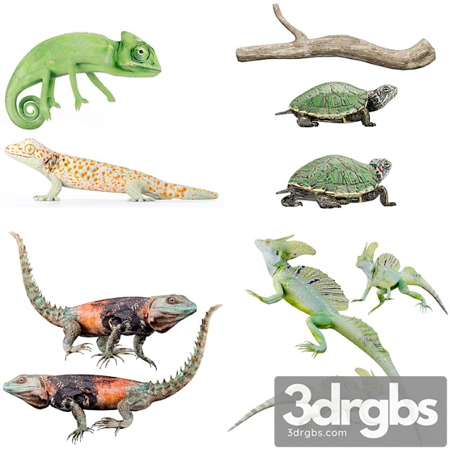 Creature Reptile collection 3dsmax Download - thumbnail 1