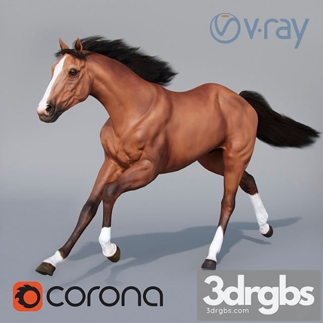 Creature Running horse 02 3dsmax Download - thumbnail 1