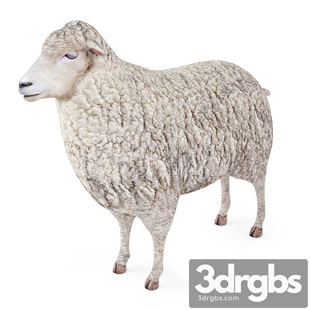 Creature Sheep 3dsmax Download - thumbnail 1