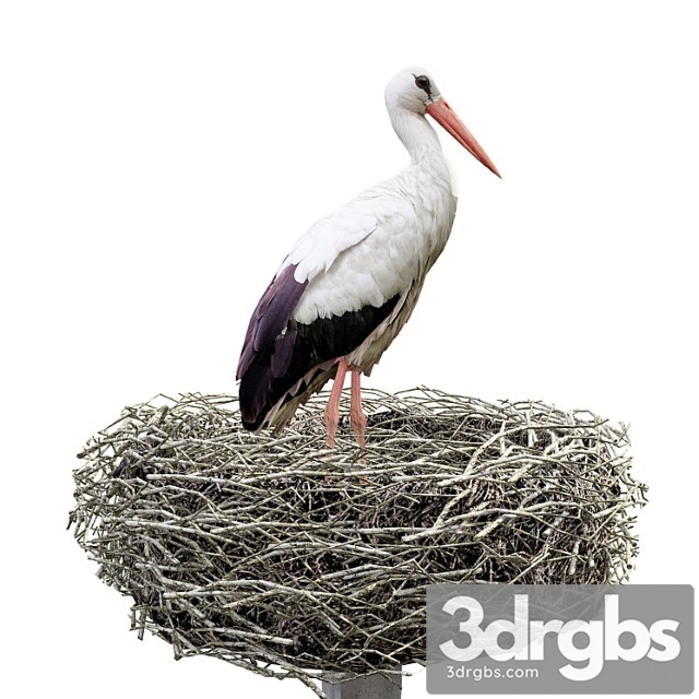 Creature Stork 3dsmax Download - thumbnail 1