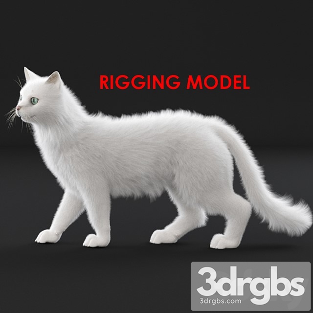 Creature White cat (rig) 3dsmax Download - thumbnail 1