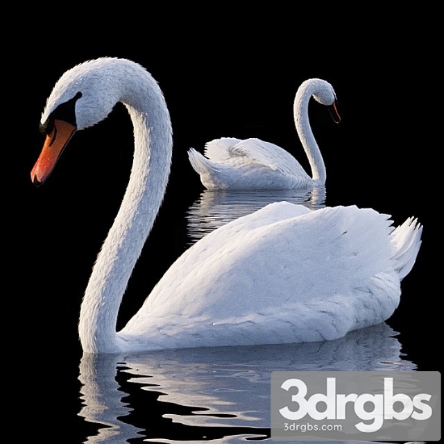 Creature White swan 3dsmax Download - thumbnail 1