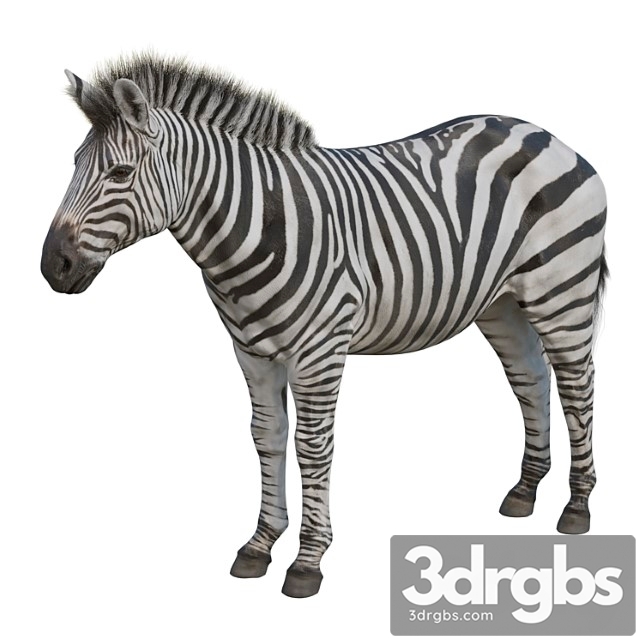 Creature Zebra 3dsmax Download - thumbnail 1