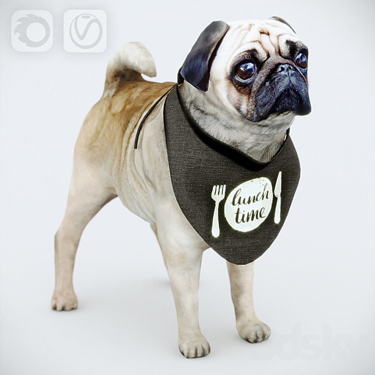 Cute Pug (vray + corona) 3DS Max - thumbnail 1