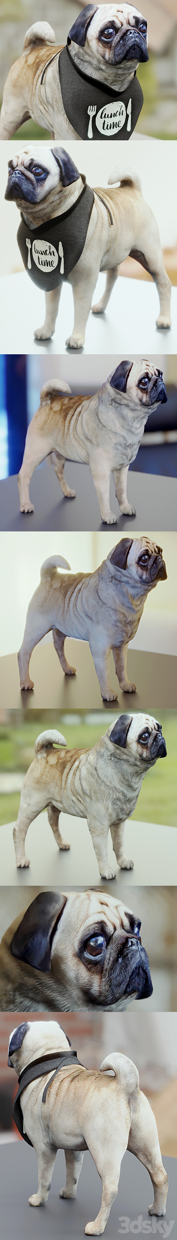 Cute Pug (vray + corona) 3DS Max - thumbnail 2