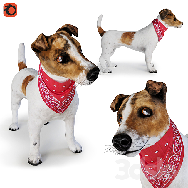 Dog Jack Russell Terrier 3ds Max - thumbnail 1