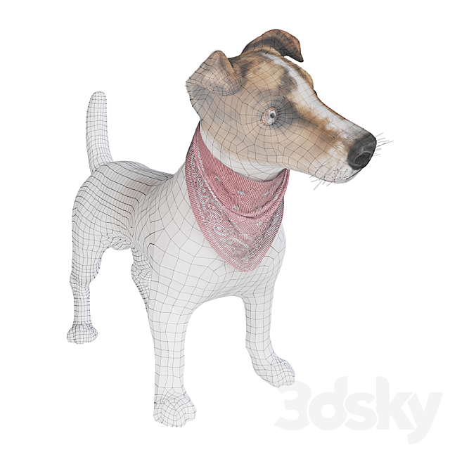 Dog Jack Russell Terrier 3ds Max - thumbnail 3