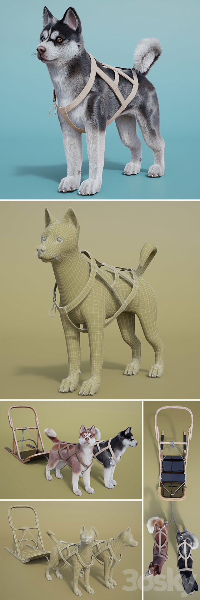 Dog team: Huskies sled pulka. 3DS Max Model - thumbnail 3