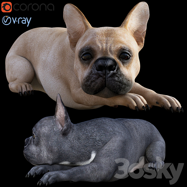 Dog_Bull 3ds Max - thumbnail 1