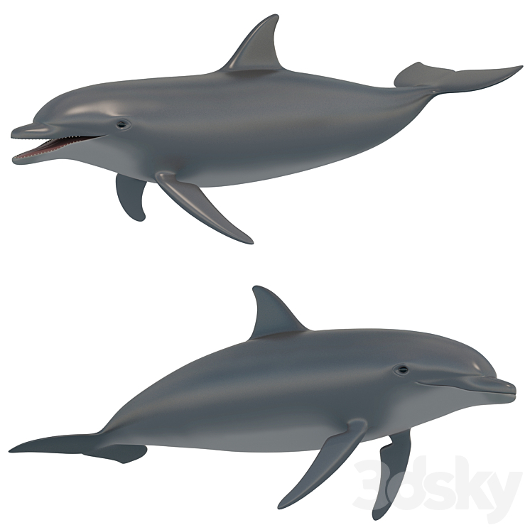 Dolphin bottlenose dolphin 3DS Max - thumbnail 1