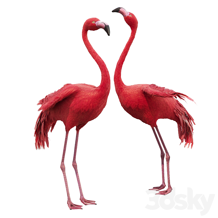 Flamingo-model 3DS Max - thumbnail 1