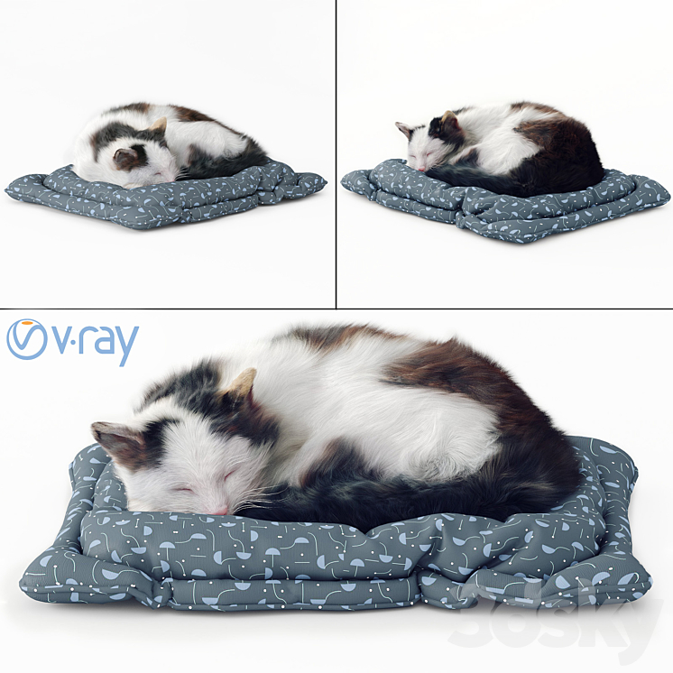 Fluffy cat 3DS Max - thumbnail 1