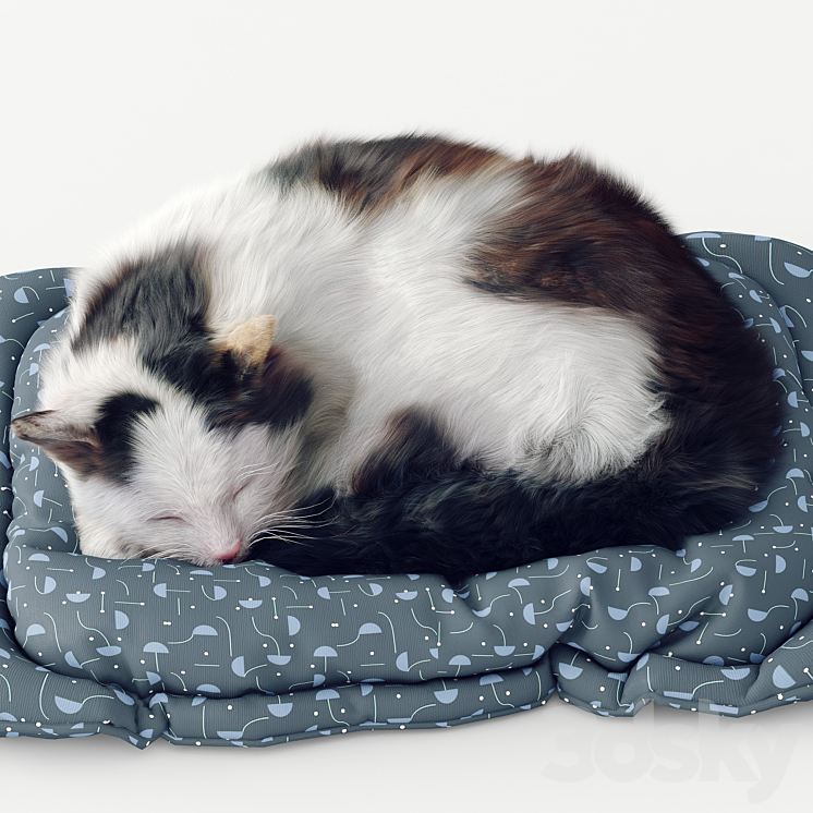 Fluffy cat 3DS Max - thumbnail 2