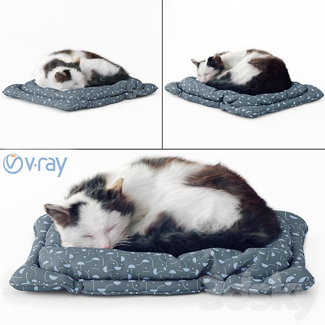 Fluffy cat 3DSMax File - thumbnail 1