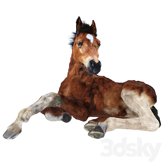 Foal 3ds Max - thumbnail 1