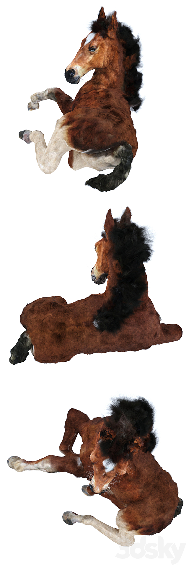 Foal 3ds Max - thumbnail 2