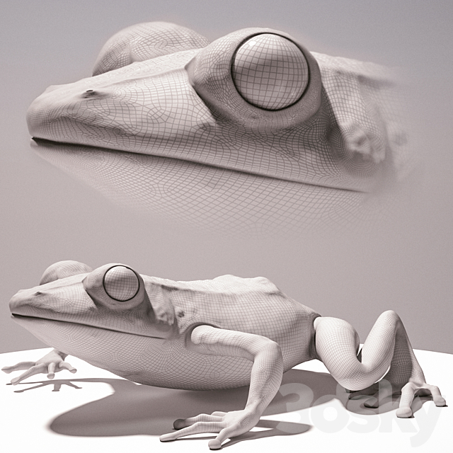 Frog 3DS Max Model - thumbnail 2