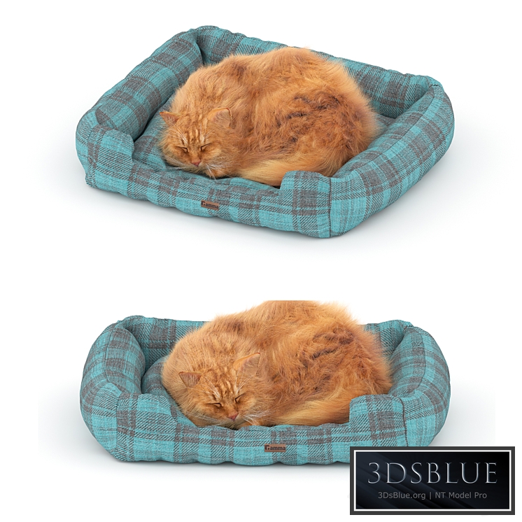 Ginger cat on the bed 3DS Max - thumbnail 3